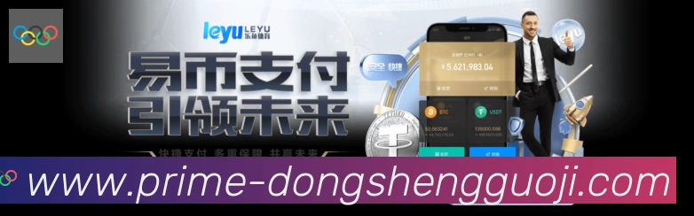 东升国际棋牌服务体系